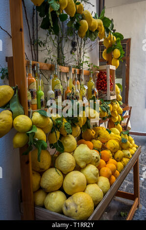 Blick auf die farbenprächtigen Zitronen und andere Zitrusfrüchte an der Italienischen Basar, Italien. Stockfoto