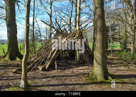 Ein überleben Unterschlupf in einer britischen Woodland Stockfoto