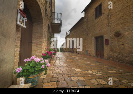 Blumige Straßen an einem regnerischen Frühlingstag in einem kleinen magischen Dorf Pienza, Toskana. Stockfoto