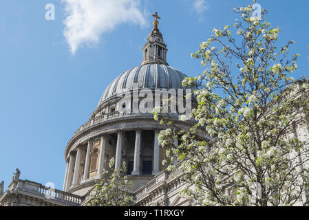 St. Pauls Cathedral, London, UK Stockfoto