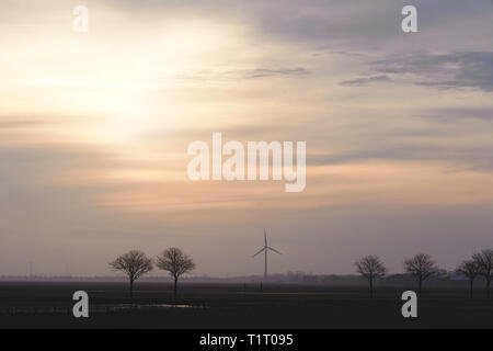 Feld mit Bäumen und Windmühlen am Horizont in den Abend. Typische holländische Landschaft. North Holland, Hollands Kroon, Niederlande. Stockfoto