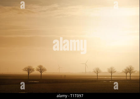 Feld mit Bäumen und Windmühlen am Horizont in den Morgen. Typische holländische Landschaft. North Holland, Hollands Kroon, Niederlande. Stockfoto