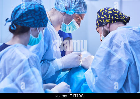 Ernsthafte Chirurgen während einer Operation im Krankenhaus. Cross Prozess Stockfoto