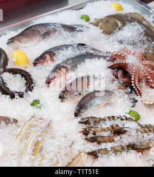 Fisch und Meeresfrüchte auf Eis markt Anzeige Stockfoto