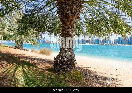 Palm Tree Meer und Wolkenkratzer in Abu Dhabi Stockfoto
