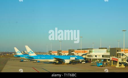 Amsterdam, Niederlande, 11. März 2016: KLM Flugzeug auf dem Flughafen Schiphol geparkt Stockfoto