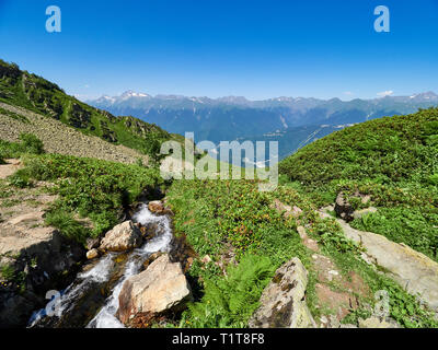 Berg und Tal mit Wohnhäusern, Blick aus der Höhe. Bergbach. Alpine Wiesen und Dickicht der Berg Rhododendron. Krasnaya Stockfoto