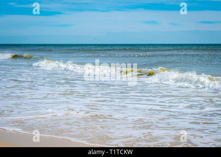 Die mit Blick auf Blick auf das Ufer in Perdido Key State Park, Florida Stockfoto