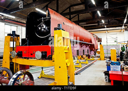 P2-Klasse 2-8-2 New Build Dampflok Prinz von Wales bei Hopetown arbeitet, Darlington, England Stockfoto