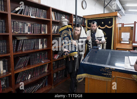 Orthodoxe jüdische Männer bewegen eine Torarolle aus der Heiligen lade an den Ort, wo sie gelesen werden. In einer Synagoge in Queens, New York City. Stockfoto