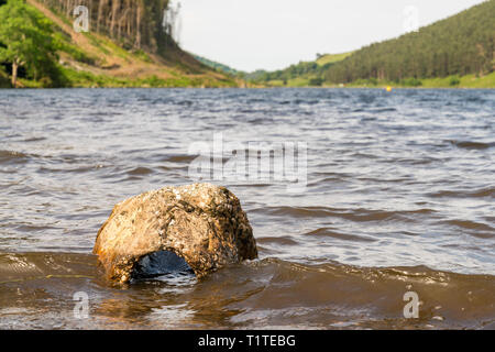 Ein Stein ausgewaschen von Llyn Geirionydd in der Nähe von Llanwrst, Conwy, Wales, Großbritannien Stockfoto