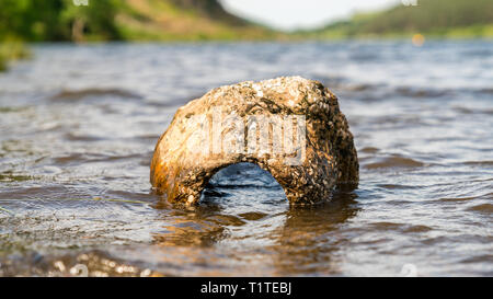 Ein Stein ausgewaschen von Llyn Geirionydd in der Nähe von Llanwrst, Conwy, Wales, Großbritannien Stockfoto