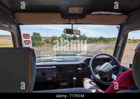 Gepard auf der Straße von einer Windschutzscheibe auf der Safari Auto Stockfoto