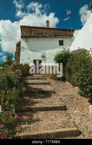 Hausfassade mit weißen Wänden, Treppen, Blumen und Pflanzen vor der Gasse in Caceres. Eine charmante Stadt mit einem vollständig erhaltenen Altstadt in Spanien. Stockfoto