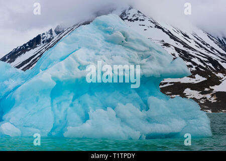 Magdalena Fjord, Gletscher, Spitsberg Insel, Svalbard, Norwegen Stockfoto