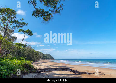 Daintree, Queensland. Strand von Cow Bay, dem Daintree Rainforest, Daintree National Park, Far North Queensland, Australien Stockfoto