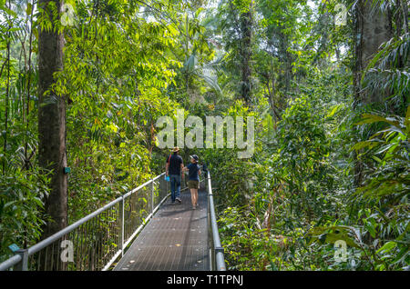 Daintree, Queensland. Besucher auf der Promenade in der Discovery Center, Daintree Regenwald, Daintree National Park, Queensland, Australien Stockfoto