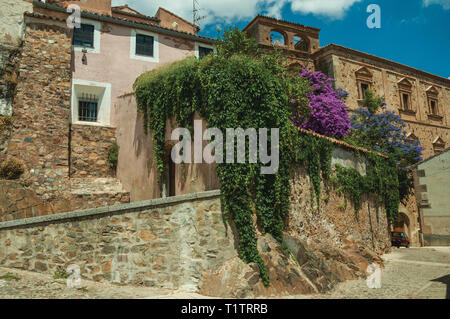 Alte Gebäude mit blühenden Bäumen und bindweed über eine Gasse in Caceres. Eine charmante Stadt mit einem vollständig erhaltenen Altstadt in Spanien. Stockfoto