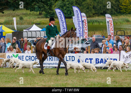 Eine Demonstration der North Norfolk Geländeläufer im 2018 Aylsham Landwirtschaft zeigen, Norfolk, Großbritannien. Stockfoto