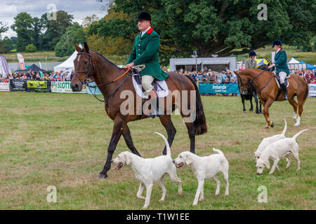 Eine Demonstration der North Norfolk Geländeläufer im 2018 Aylsham Landwirtschaft zeigen, Norfolk, Großbritannien. Stockfoto