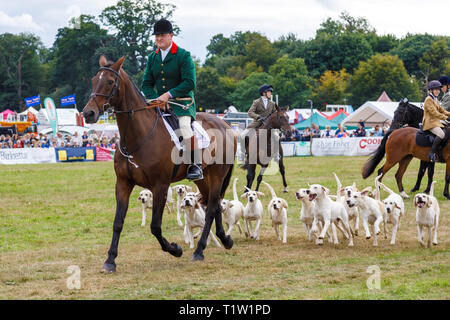 Eine Demonstration der North Norfolk Geländeläufer im 2018 Aylsham Landwirtschaft zeigen, Norfolk, Großbritannien. Stockfoto