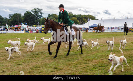 Eine Demonstration der North Norfolk Geländeläufer im 2018 Aylsham Landwirtschaft zeigen, Norfolk, Großbritannien. Stockfoto