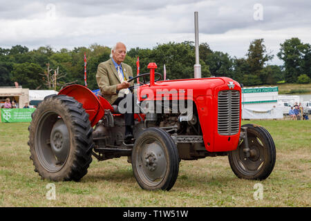 1964 Massey Ferguson 35 Traktor 2018 Aylsham Landwirtschaft zeigen, Norfolk, Großbritannien. Stockfoto