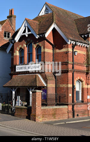 Fassade des Curtis Museum der lokalen Geschichte von William Curtis (1803-81), Alton, Hampshire, UK gegründet. Stockfoto