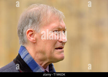 Sir David Amess MP (Con: Southend West) Interview über Brexit auf College Green, Westminster, 27. März 2019 Stockfoto