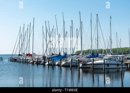 Hafen, Rerik, Ostseebad, Mecklenburg-Vorpommern, Deutschland Stockfoto