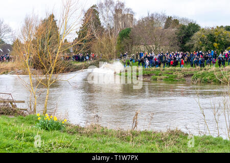 Ein 5-Sterne-Hotel Severn Bore auf 22/3/2019 brechen gegen die Bank und durchnässen Zuschauer an Minsterworth, Gloucestershire, Großbritannien Stockfoto