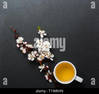 Tasse Kaffee und zwei Filialen der blühenden Aprikose auf schwarzem Schiefer Hintergrund. Stockfoto