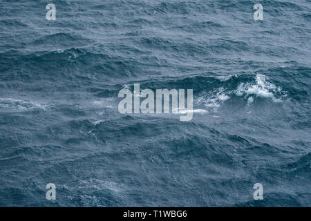 Meer mit Wellen und Gezeiten Luftaufnahme Hintergrund Stockfoto