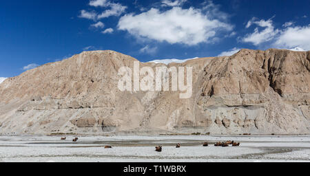 Panorama von felsformationen an der Autobahn von Karakorum (Provinz Xinjiang, China) Stockfoto