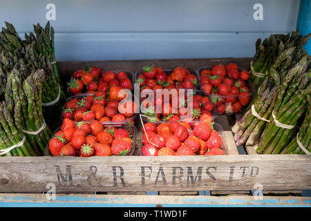 Pannets des Englischen Erdbeeren und Spargel für Verkauf an Wiveton Halle Obst Farm in North Norfolk, England. Stockfoto