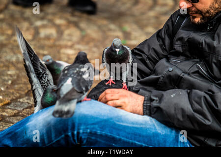 Man füttern Tauben am Dam Square Amsterdam Die Niederlande 2019 Stockfoto