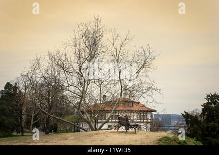 Holzbank in der Festung Kalemegdan Park Faltenbalg ein malerischer Baum während der Goldenen Stunde Stockfoto