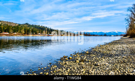 Der Fraser River am Ufer des Glen Valley Regional Park in der Nähe der Gemeinde Fort Langley, British Columbia, Kanada an einem schönen Wintertag Stockfoto