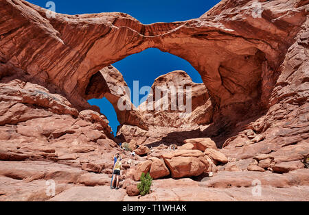 Double Arch im Arches National Park, Moab, Utah, USA, Nordamerika Stockfoto
