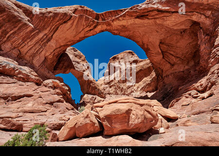 Double Arch im Arches National Park, Moab, Utah, USA, Nordamerika Stockfoto