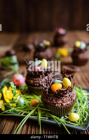 Osternest Cupcakes mit Schokolade, Sahne, mit bunten Eiern dekoriert Stockfoto