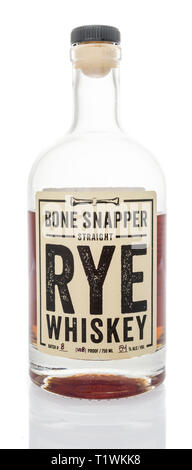 Winneconne, WI - 24. März 2019: eine Flasche Knochen Snapper straight Rye Whiskey in einem isolierten Hintergrund Stockfoto