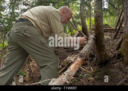 WA 16061-00 ... WASHINGTON - John Feder mit einer kleinen Säge licht Trail Wartung entlang der Schnee Seen Trail zu tun. Stockfoto