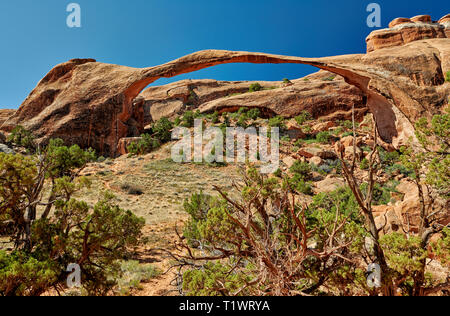 Landscape Arch im Arches National Park, Moab, Utah, USA, Nordamerika Stockfoto