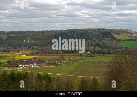 Blick auf Box Hill und Denbies Weingut und Weinberg. Dorking Surrey England Großbritannien Stockfoto