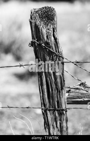 Schwarz & Weiß Nahaufnahme von Stacheldraht zaun & verwitterten hölzernen Zaun Pfosten; Ranch in Colorado, USA Stockfoto