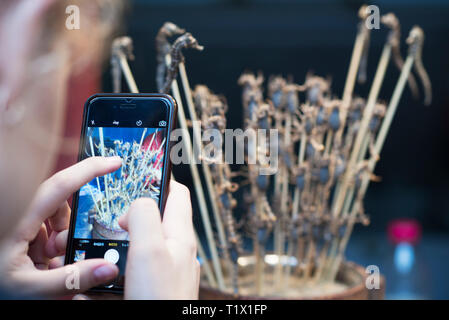 Ein Tourist, der ein Bild von gebratene Skorpione und Seepferdchen auf Stöcken in der Wangfujing Straße mit einem Smartphone, eine Einkaufsstraße in Peking, China Stockfoto