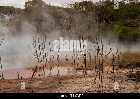 Kochend heißen vulkanischen See im Park Rotorua in Neuseeland Stockfoto