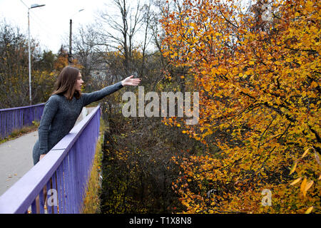 Ein schönes Mädchen in einem grauen Kleid steht auf einer Brücke im Herbst oder fallen und griff nach einem Baum mit verschlissenen verlässt. Kopieren Sie Platz. Stockfoto