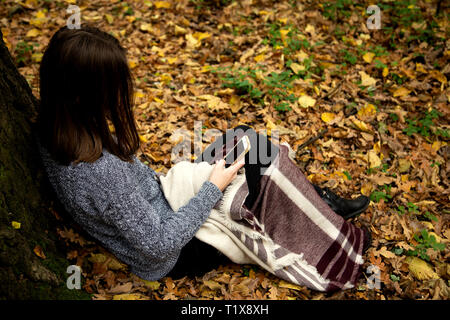 Junge schöne Mädchen in einer grauen Jacke in den Wald in der Nähe einen grossen Baum mit einem Mobiltelefon. Stockfoto